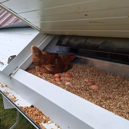 Koetterhof Bevern (Lower-Saxony)